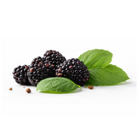 Mulberry Fruit